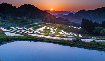 大山千枚田